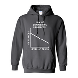 Law of Diminishing Prospects Hoodie