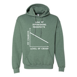 Law of Diminishing Prospects Hoodie