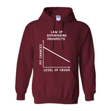 Law of Diminishing Prospects Hoodie